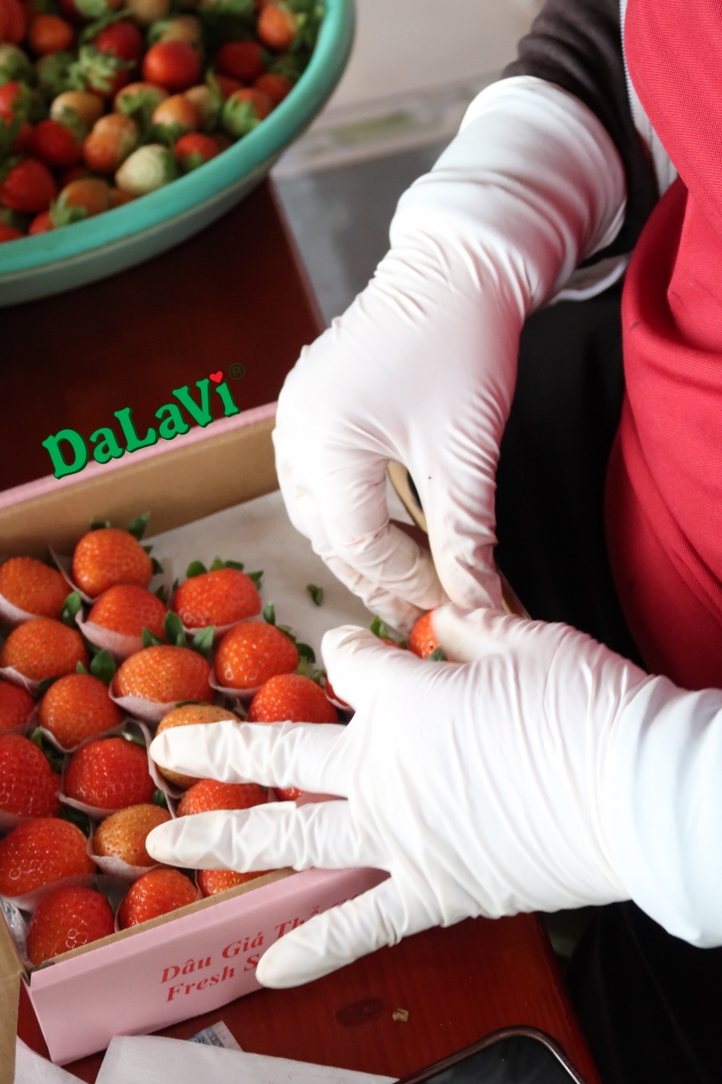 Dâu tây Nhật Bản giống Sky có ngon không, mua ở đâu giá ưu đãi 