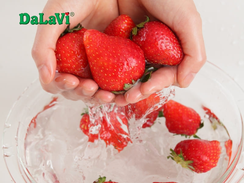 Mua sỉ dâu tây giống Nhật từ nhà vườn, chất lượng với giá ưu đãi