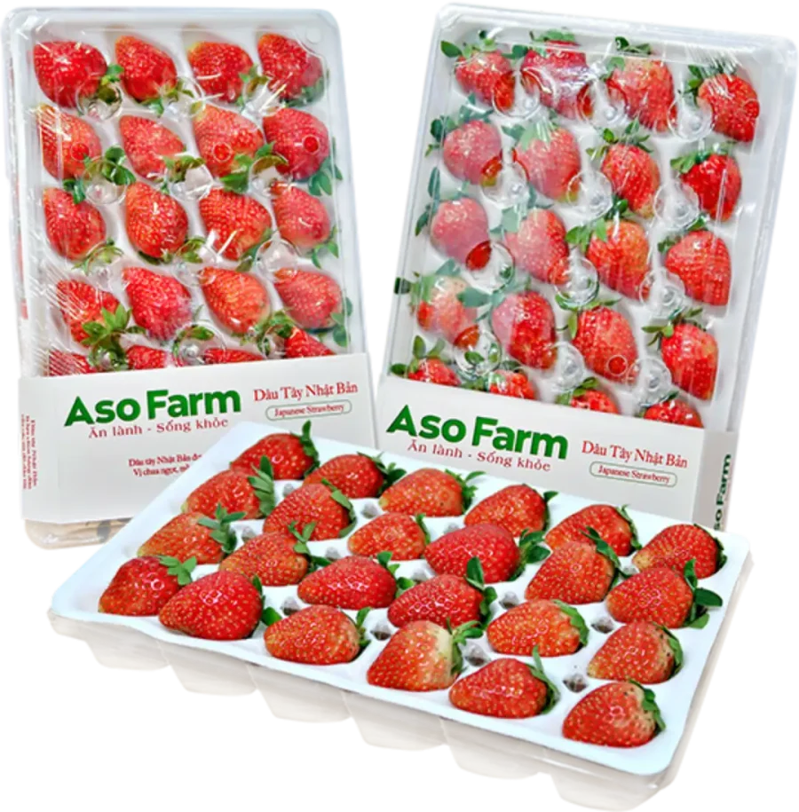 Dâu tây Đà Lạt tươi ngon